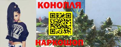 Альфа ПВП Новозыбков