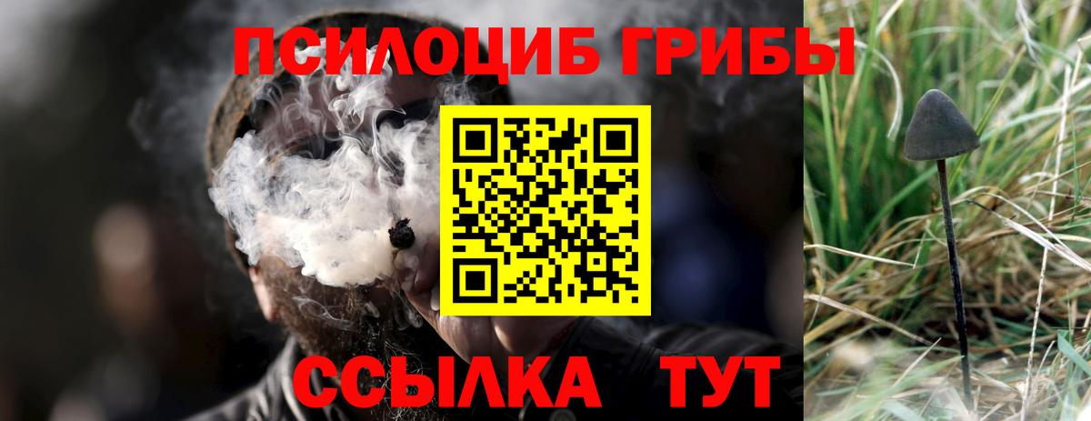 Фролово  Галлюциногенные грибы Psilocybe  Вход с VPN  Галлюциногенные грибы Magic Shrooms 